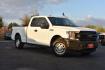 2019 WHITE Ford F-150 XL SuperCab 8-ft. 2WD (1FTEX1C53KF) with an 5.0L V8 OHV 16V engine, 6A transmission, located at 420 E. Kingsbury St., Seguin, TX, 78155, (830) 401-0495, 29.581060, -97.961647 - Photo#1