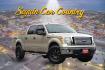 2010 TAN Ford F-150 Lariat SuperCrew 5.5-ft. Bed 4WD (1FTEW1E81AF) with an 4.6L V8 SOHC 24V engine, 4-Speed Automatic transmission, located at 420 E. Kingsbury St., Seguin, TX, 78155, (830) 401-0495, 29.581060, -97.961647 - Photo#0