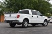 2011 WHITE Ford F-150 FX2 SuperCrew 5.5-ft. Bed 2WD (1FTEW1CM5BK) with an 3.7L V6 DOHC 24V engine, 4A transmission, located at 420 E. Kingsbury St., Seguin, TX, 78155, (830) 401-0495, 29.581060, -97.961647- Photo#2